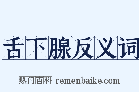 舌下腺反义词是什么意思的图片